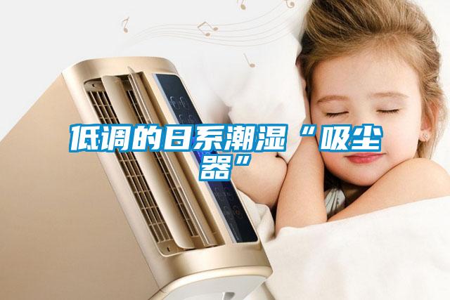 低调的日系潮湿“吸尘器”