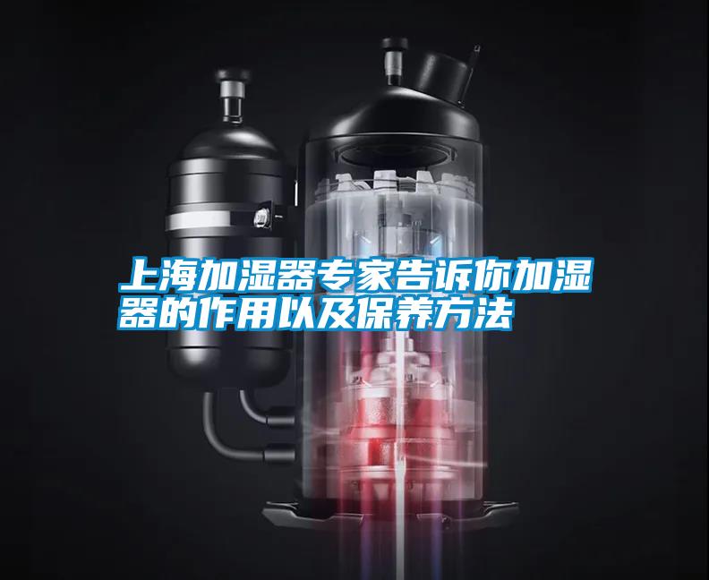 上海加湿器专家告诉你加湿器的作用以及保养方法