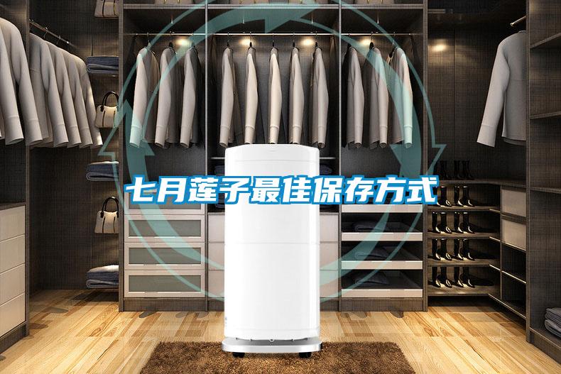 七月莲子最佳保存方式