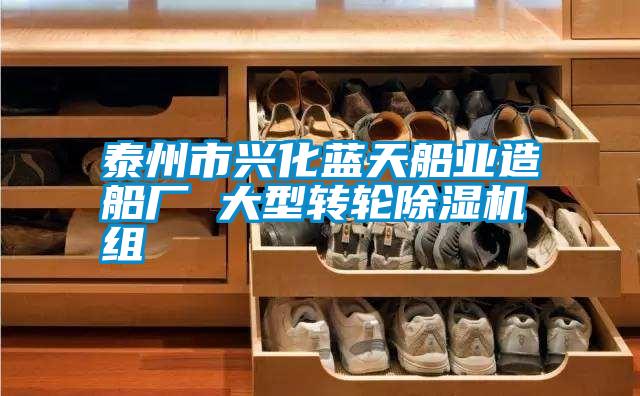 泰州市兴化蓝天船业造船厂 大型转轮除湿机组