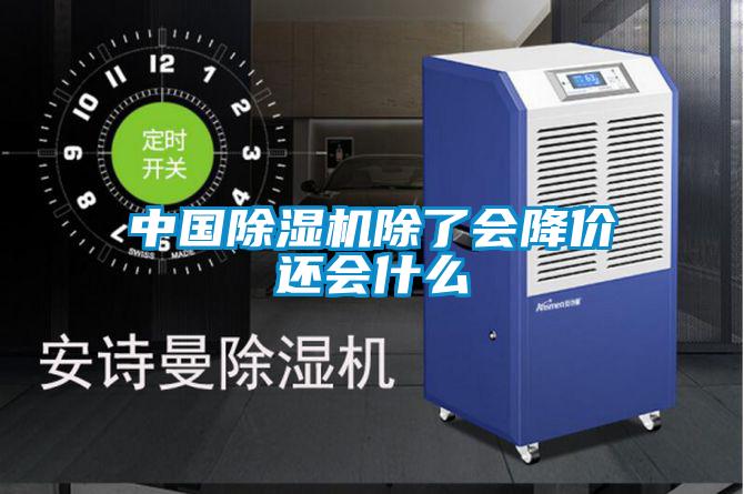 中国除湿机除了会降价还会什么