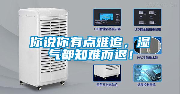你说你有点难追，湿气都知难而退！