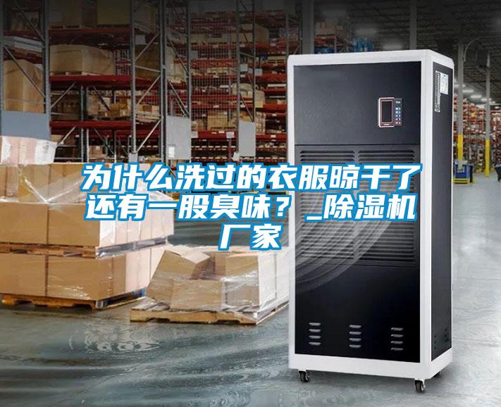 为什么洗过的衣服晾干了还有一股臭味？_除湿机厂家