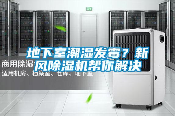 地下室潮湿发霉？新风除湿机帮你解决