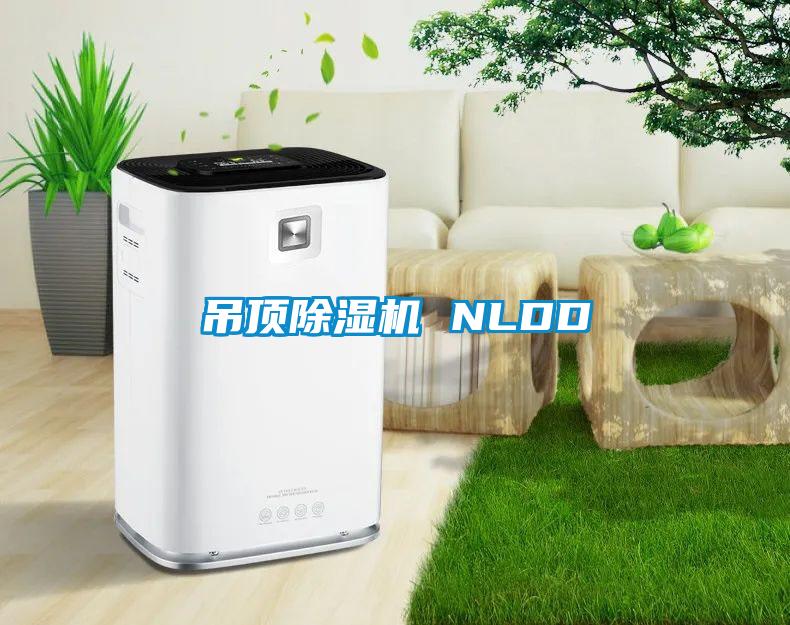 吊顶除湿机 NLDD