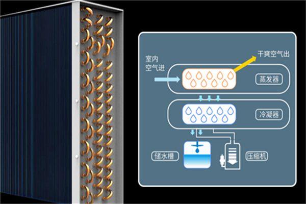 冷库消毒用什么好？冷库雾化消毒机