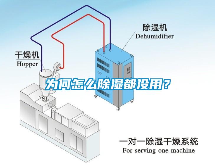 为何怎么除湿都没用？