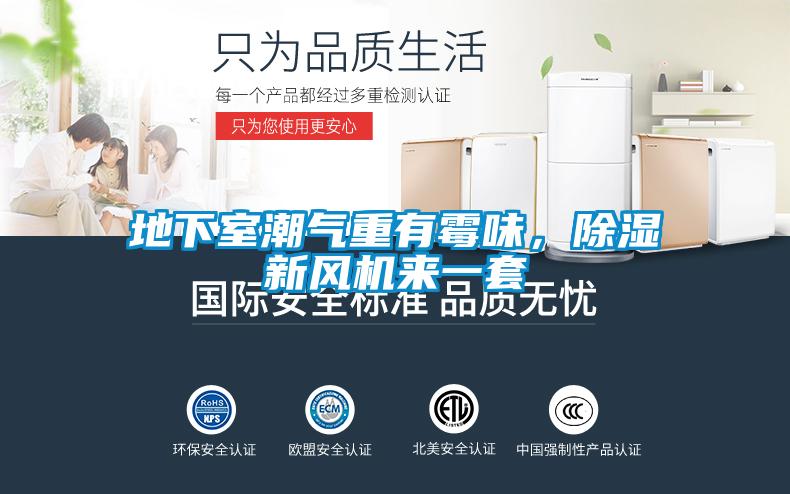 地下室潮气重有霉味，除湿新风机来一套