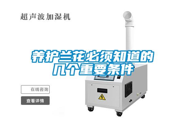 养护兰花必须知道的几个重要条件