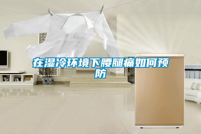 在湿冷环境下腰腿痛如何预防