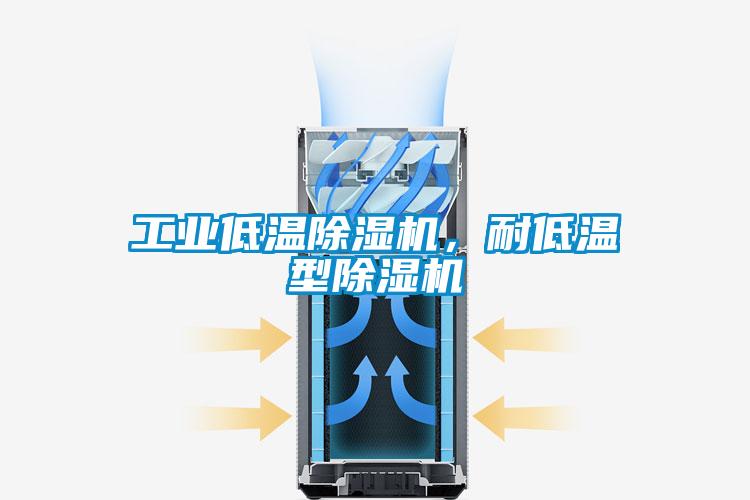 工业低温除湿机，耐低温型除湿机