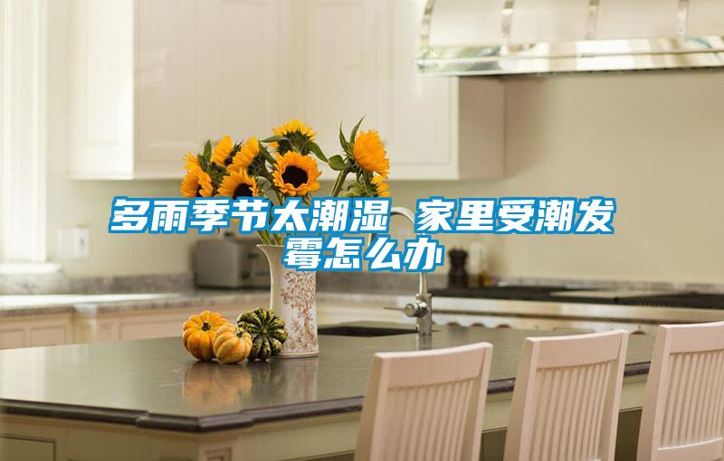 多雨季节太潮湿 家里受潮发霉怎么办
