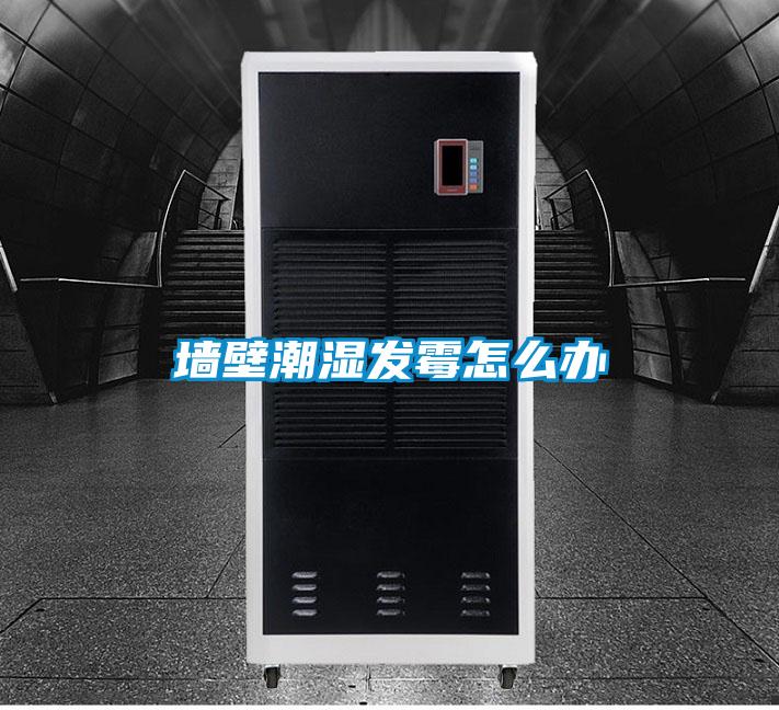 墙壁潮湿发霉怎么办