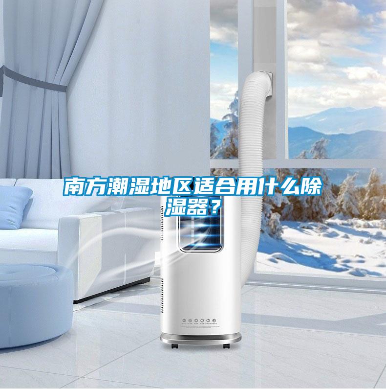 南方潮湿地区适合用什么除湿器?