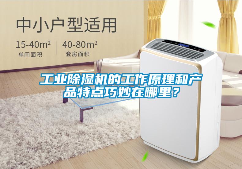 工业除湿机的工作原理和产品特点巧妙在哪里?