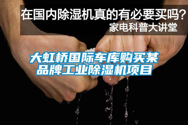 大虹桥国际车库购买某品牌工业除湿机项目