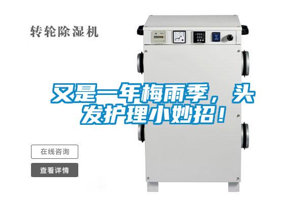 又是一年梅雨季，头发护理小妙招！