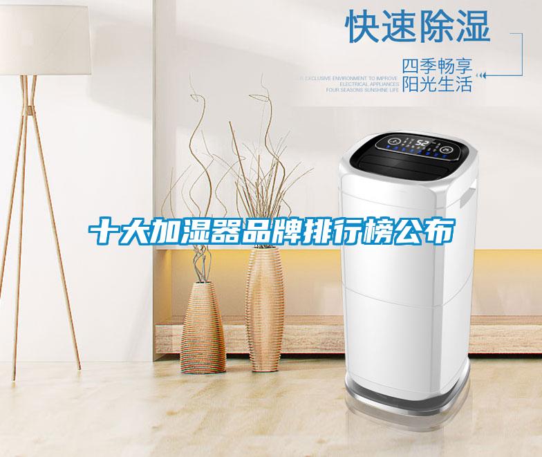 十大加湿器品牌排行榜公布