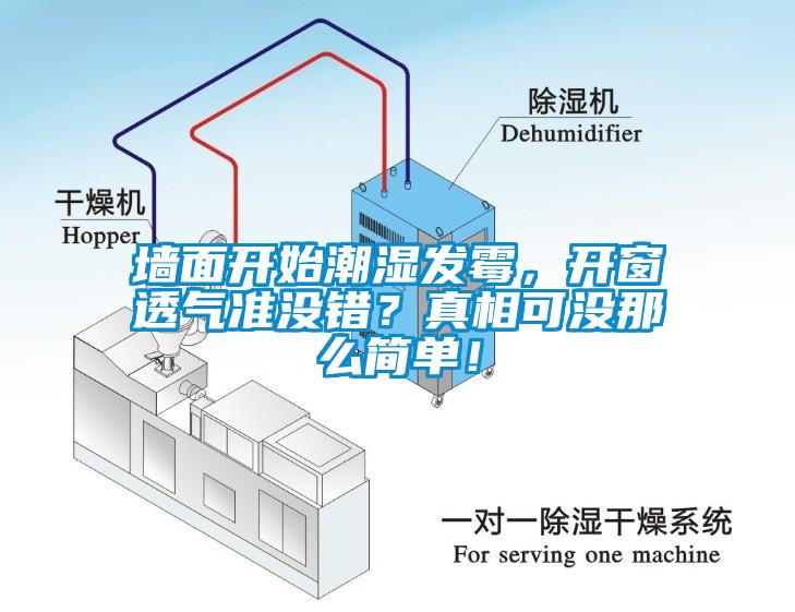墙面开始潮湿发霉，开窗透气准没错？真相可没那么简单！