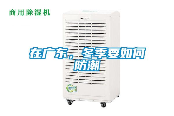 在广东，冬季要如何防潮