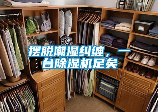摆脱潮湿纠缠，一台除湿机足矣