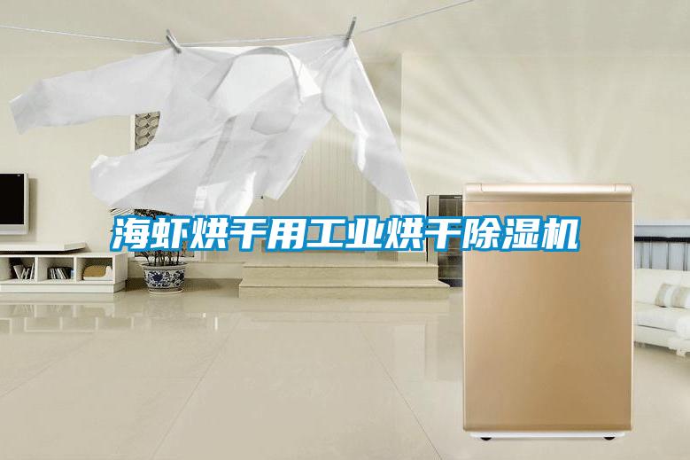 海虾烘干用工业烘干除湿机