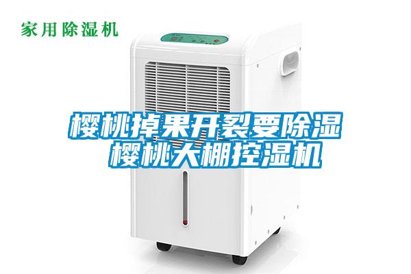 樱桃掉果开裂要除湿 樱桃大棚控湿机