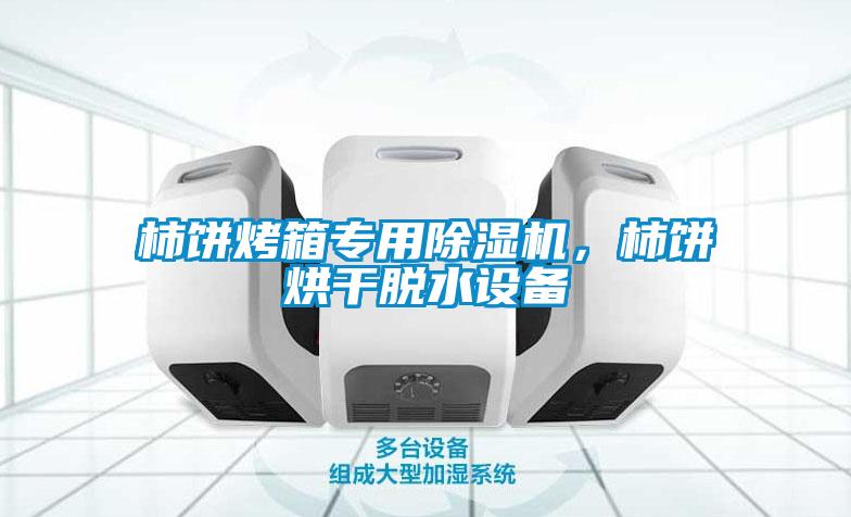 柿饼烤箱专用除湿机,柿饼烘干脱水设备