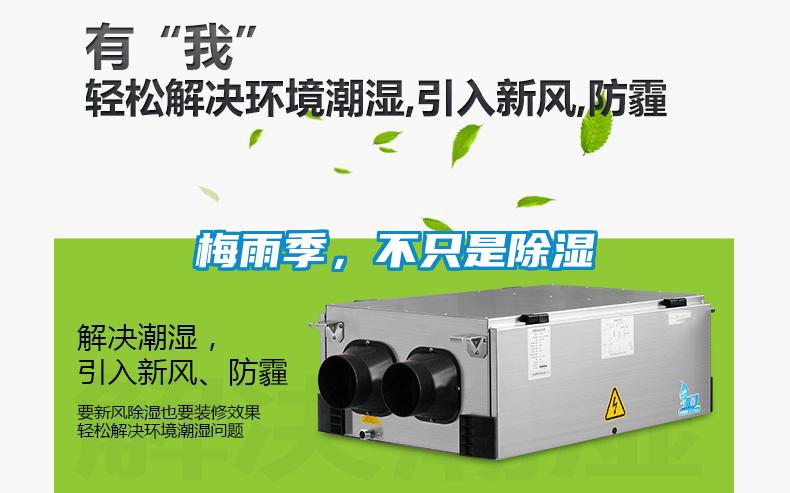 梅雨季,不只是除湿
