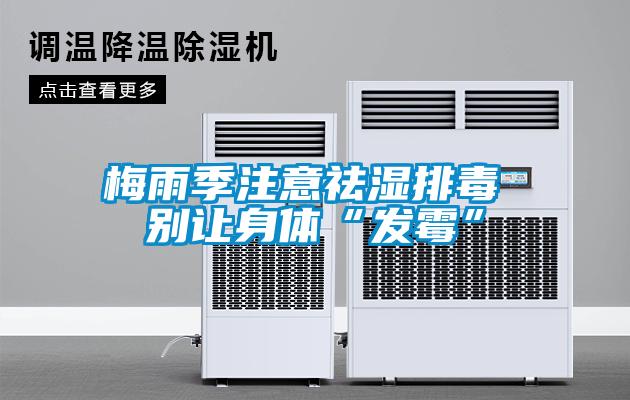 梅雨季注意祛湿排毒 别让身体“发霉”