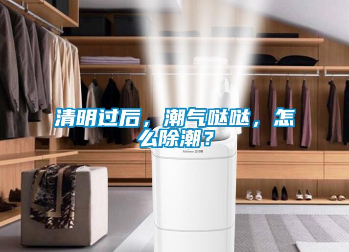 清明过后，潮气哒哒，怎么除潮？