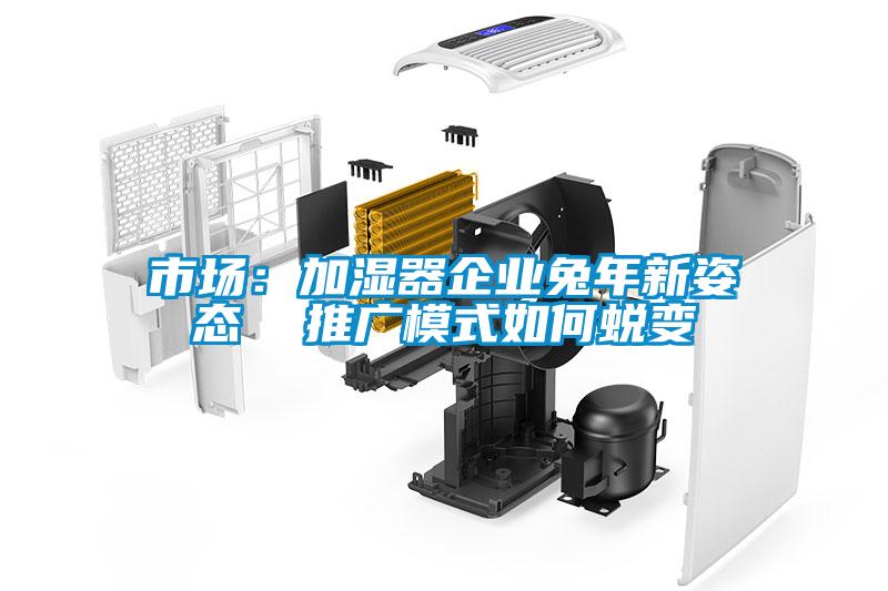 市场：加湿器企业兔年新姿态  推广模式如何蜕变
