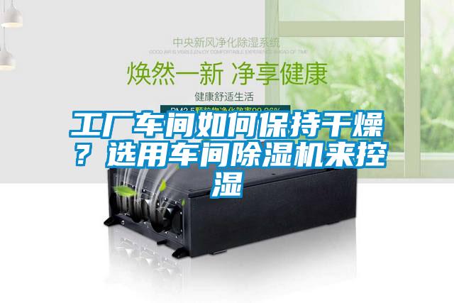 工厂车间如何保持干燥？选用车间除湿机来控湿