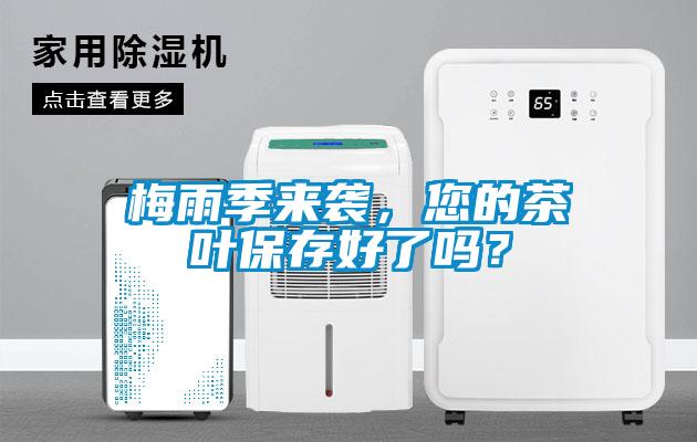 梅雨季来袭，您的茶叶保存好了吗？
