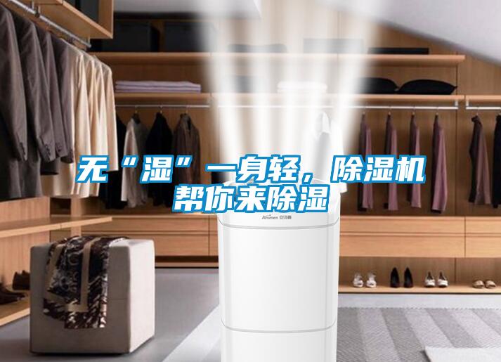 无“湿”一身轻，除湿机帮你来除湿