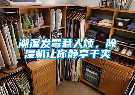 潮湿发霉惹人烦,除湿机让你静享干爽