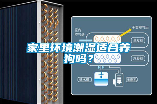 家里环境潮湿适合养狗吗?