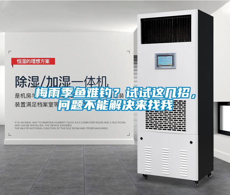 梅雨季鱼难钓？试试这几招，问题不能解决来找我