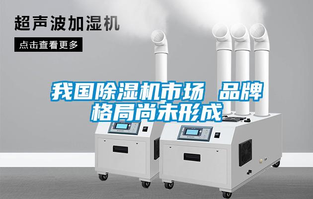 我国除湿机市场 品牌格局尚未形成