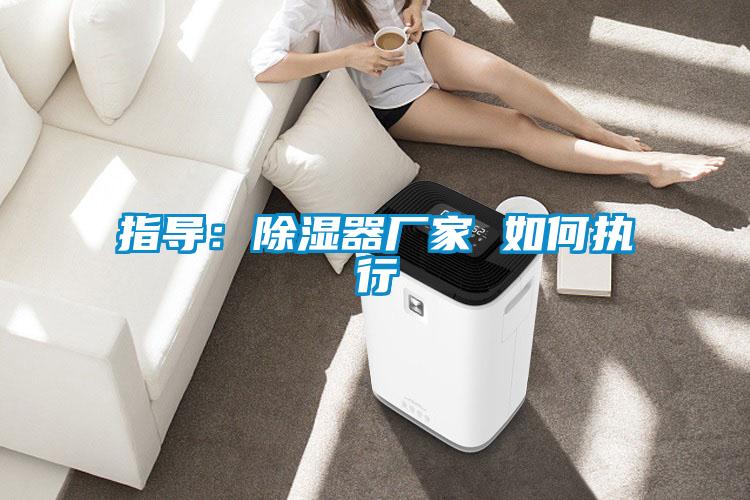 指导：除湿器厂家 如何执行