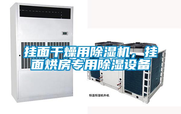 挂面干燥用除湿机,挂面烘房专用除湿设备