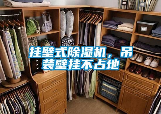 挂壁式除湿机,吊装壁挂不占地