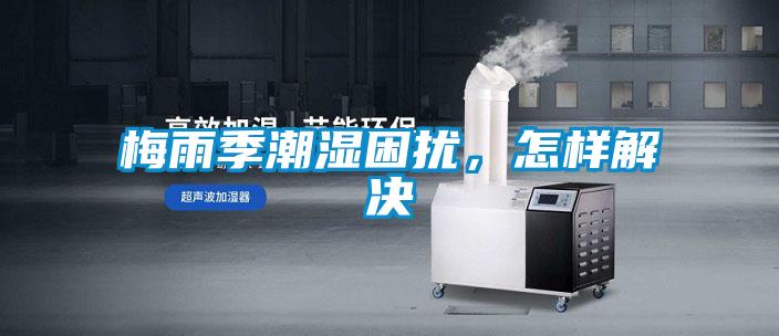 梅雨季潮湿困扰，怎样解决