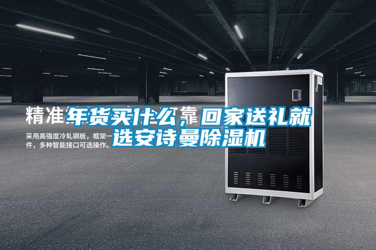 年货买什么，回家送礼就选安诗曼除湿机