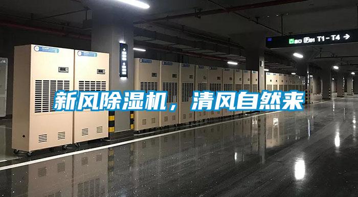 新风除湿机，清风自然来