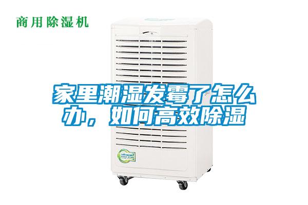 家里潮湿发霉了怎么办,如何高效除湿