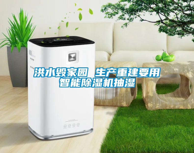 洪水毁家园 生产重建要用智能除湿机抽湿