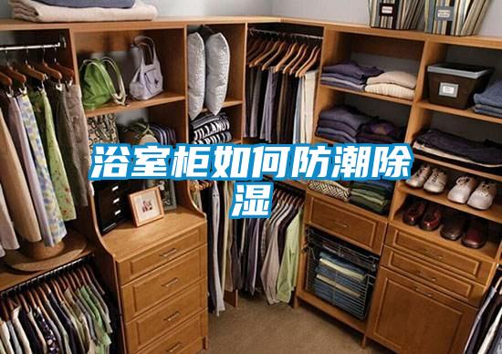 浴室柜如何防潮除湿