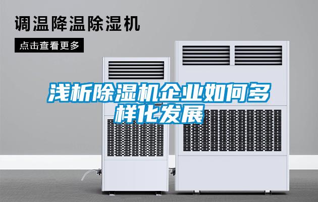 浅析除湿机企业如何多样化发展