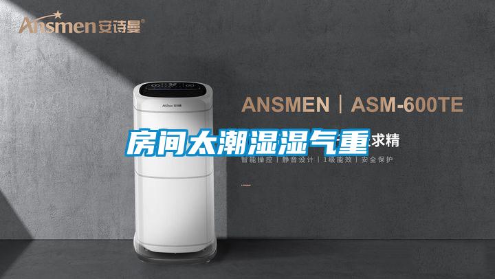 房间太潮湿湿气重